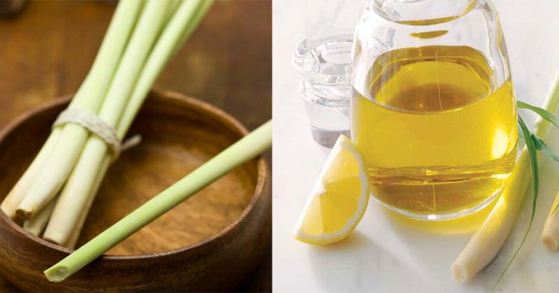 lemongrass oil