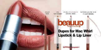 Dupes-for-Mac-Whirl-cover