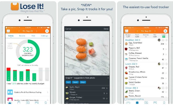 Best Free Weight Loss Apps 2022