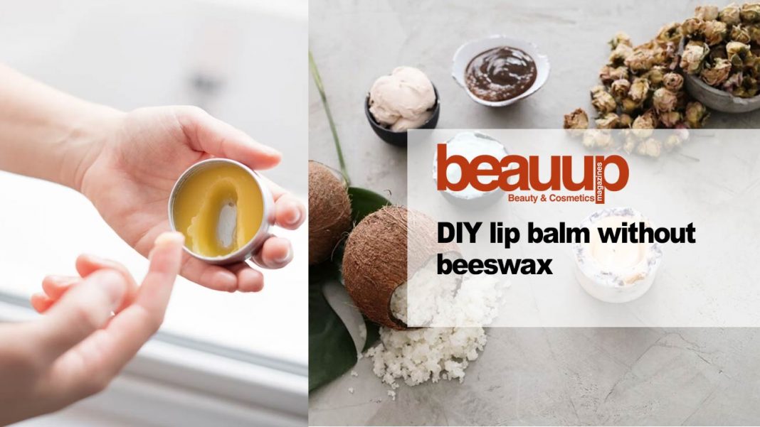 Diy Lip Balm Without Beeswax 4542